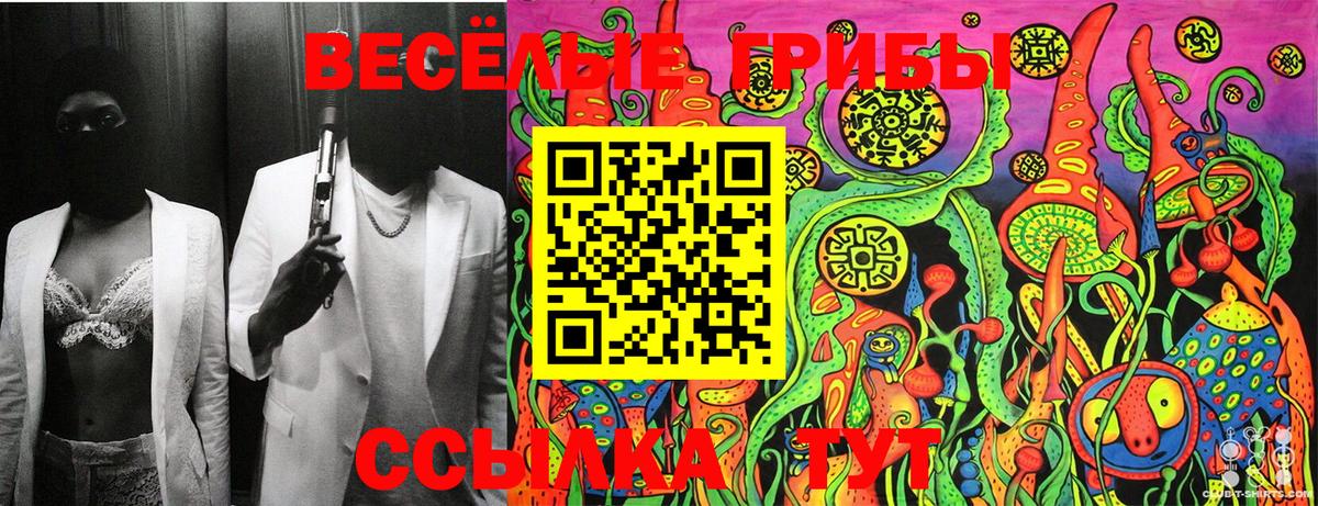 Псилоцибиновые грибы Cubensis Сургут