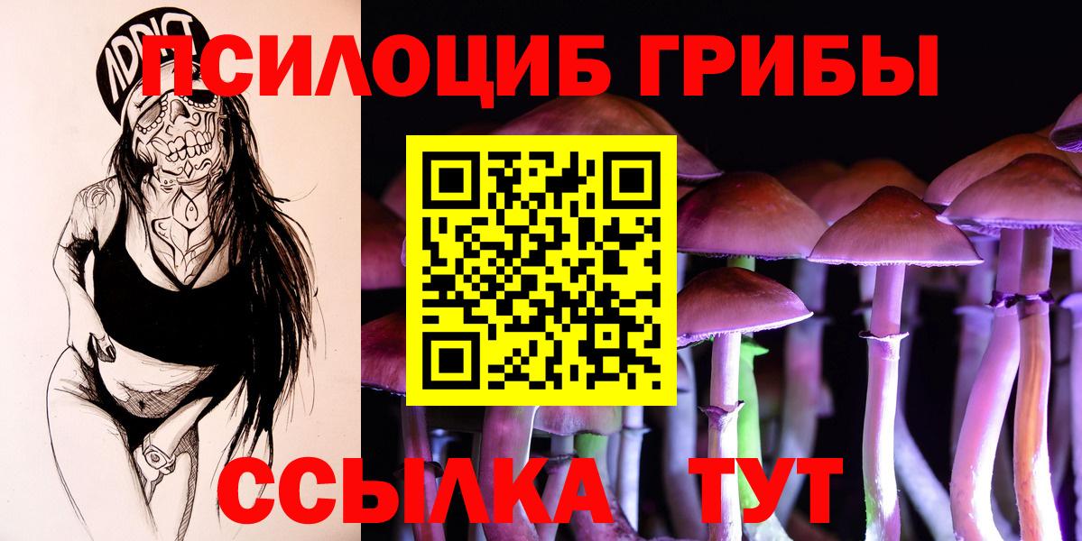 Псилоцибиновые грибы Psilocybine cubensis  как найти   Сургут  Вход с VPN 